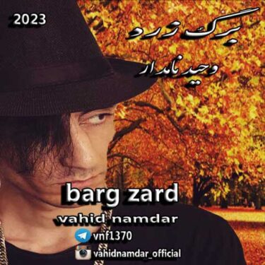 دانلود آهنگ جدید وحید نامدار برگ زرد